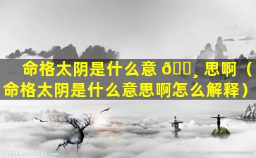 命格太阴是什么意 🌸 思啊（命格太阴是什么意思啊怎么解释）